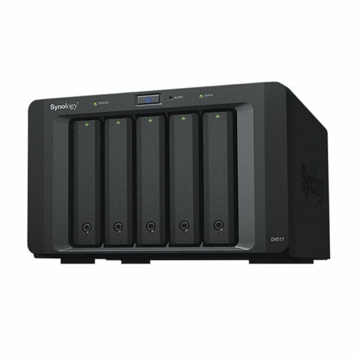 Almacenamiento en Red NAS Synology DX517 Negro - Effik Store