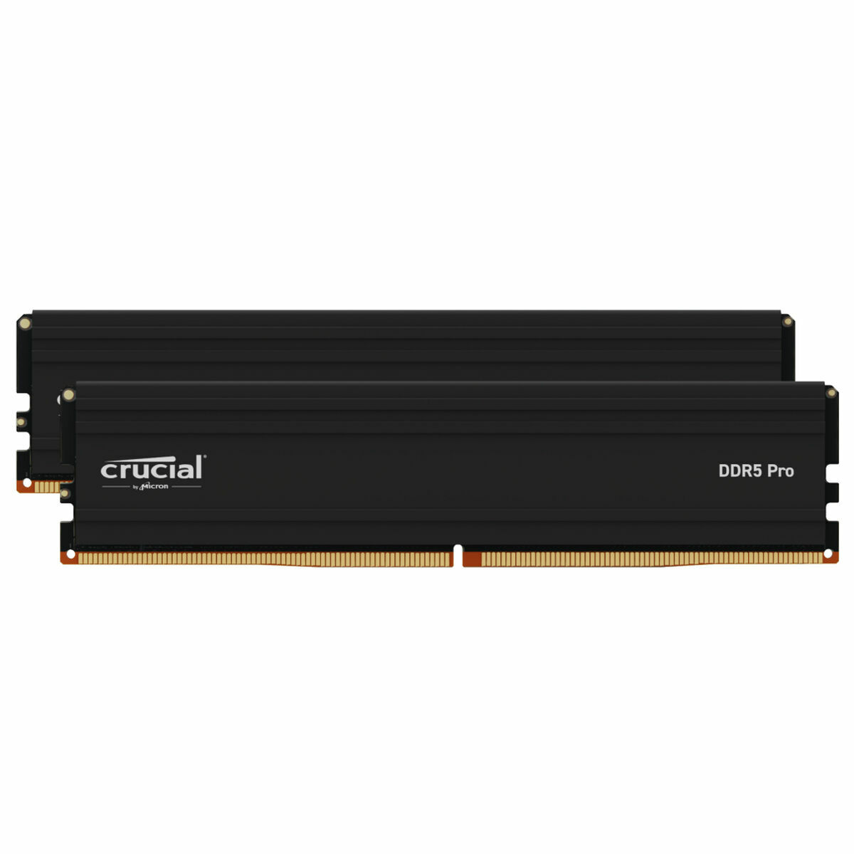 Memoria RAM Micron CP2K16G56C46U5 32 GB DDR5 - Effik Store