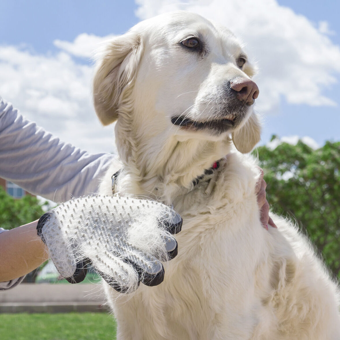 Guante para Cepillar y Masajear Mascotas Relpet InnovaGoods - Effik Store