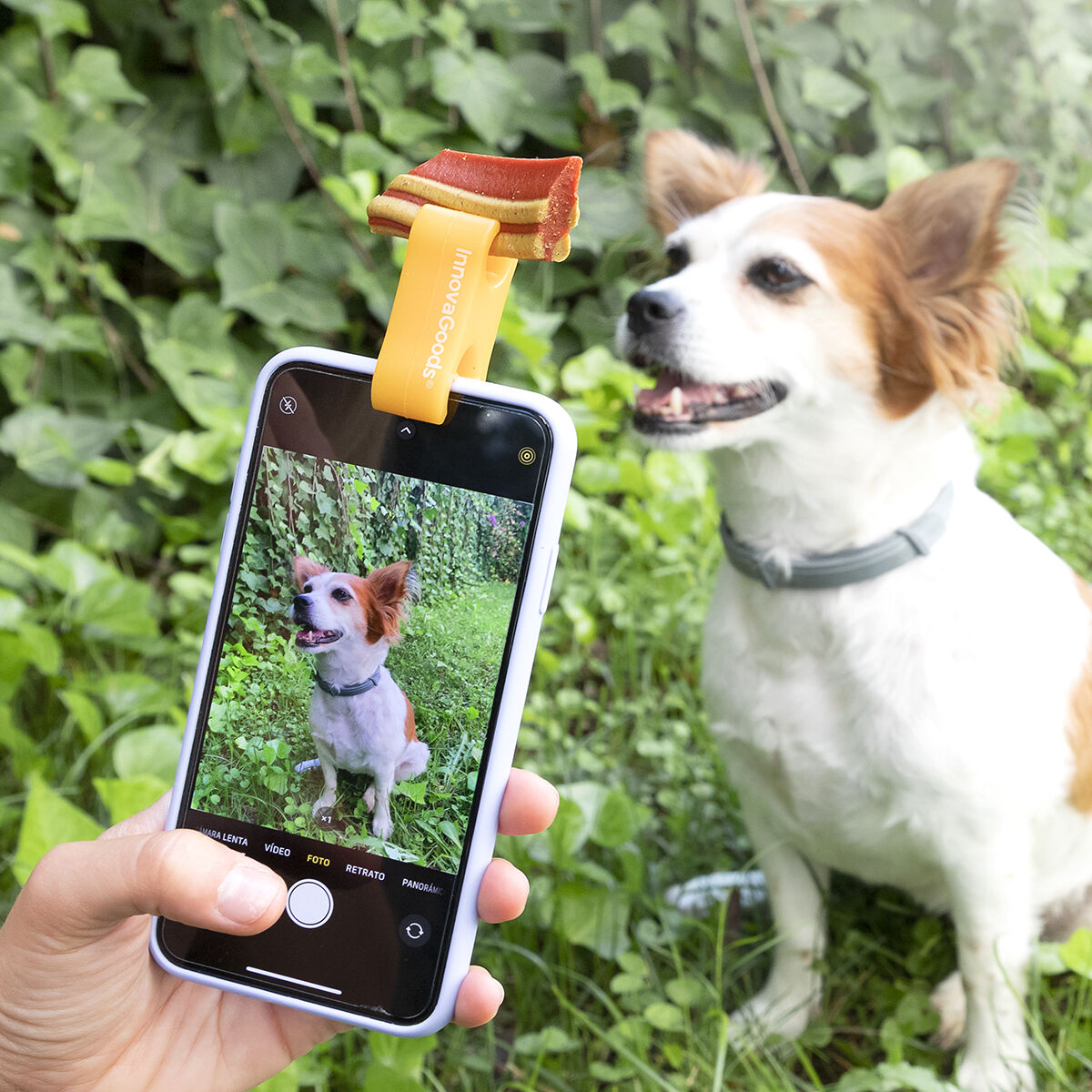 Clip de Selfies para Mascotas Pefie InnovaGoods - Effik Store