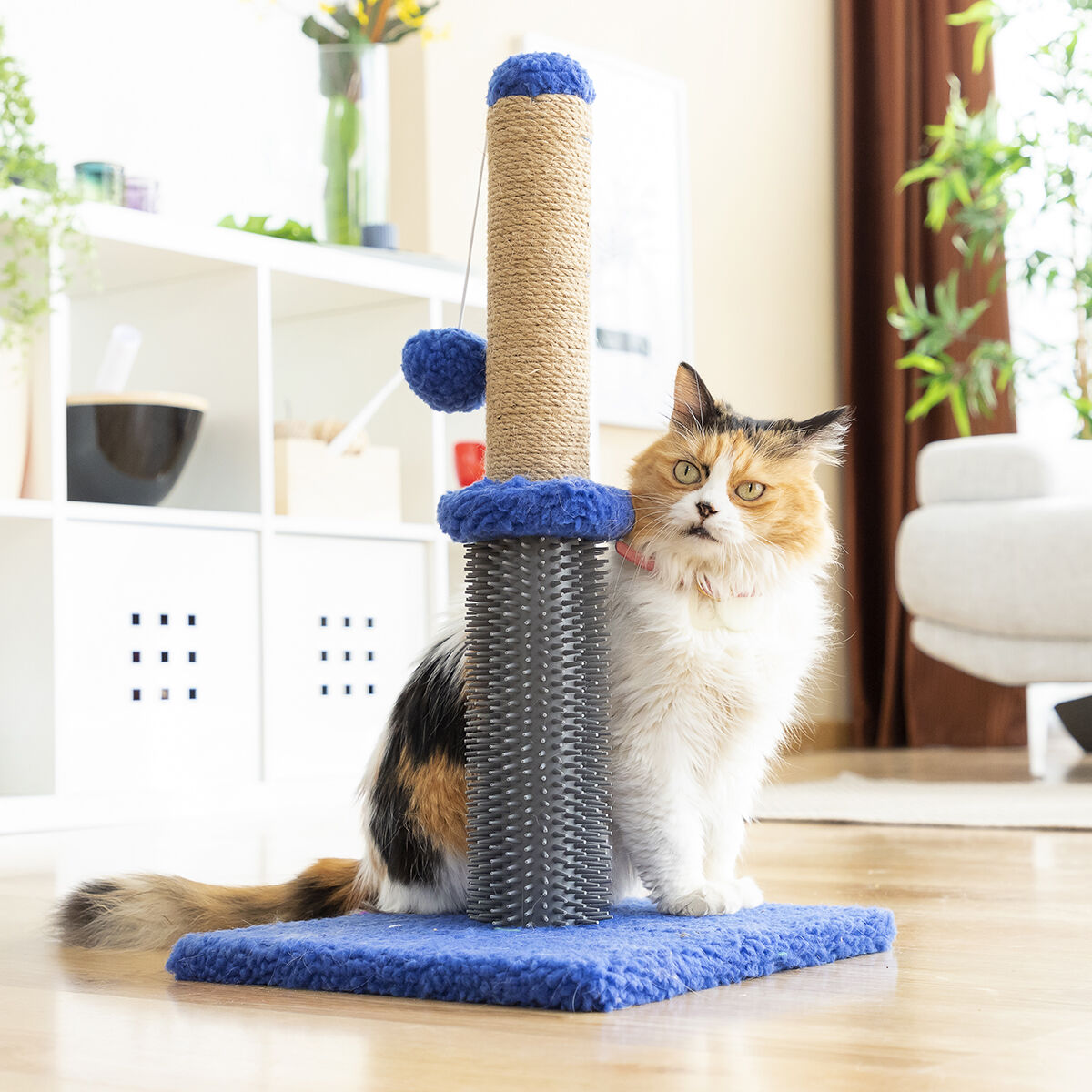 Poste Rascador Masajeador con Pelota para Gatos Miausage InnovaGoods - Effik Store